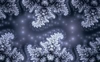 pic for Snow Fractals Abstract 